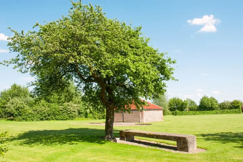séminaire à la campagne en plein air au carre du hélin